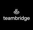  TeamBridge
